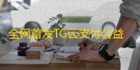 全网首发TG云支付公益版php源码
